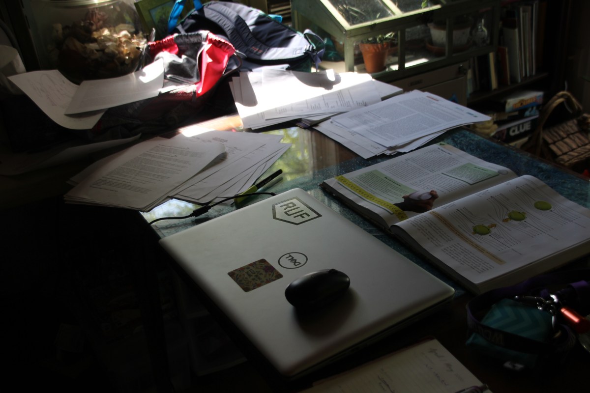 Crunch Time for&nbsp;Rose